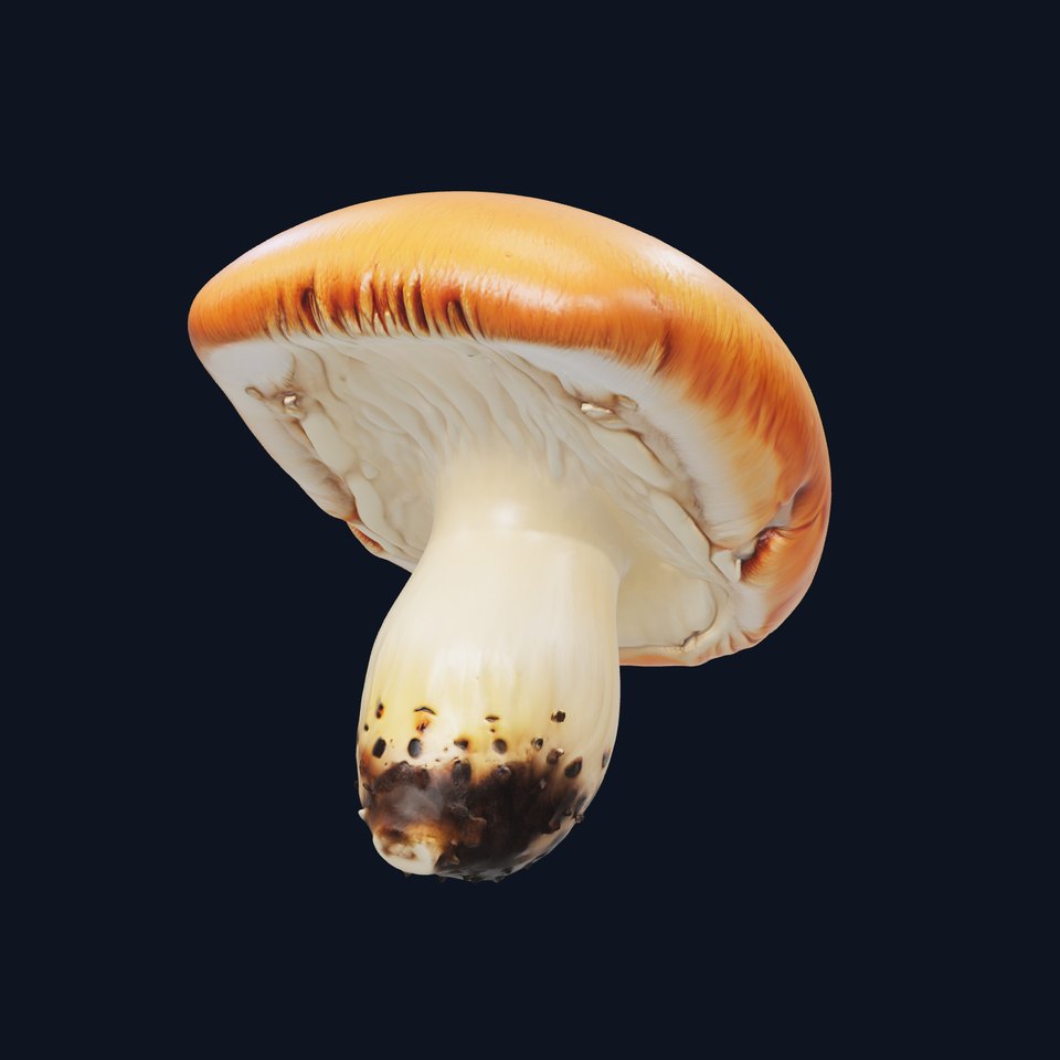 Birch Forest Red-Cap Mushroom Model Pack